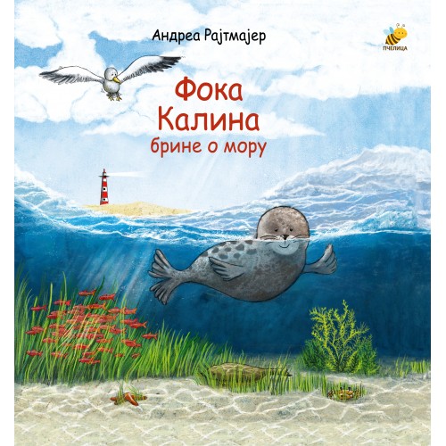 Foka Kalina brine o moru