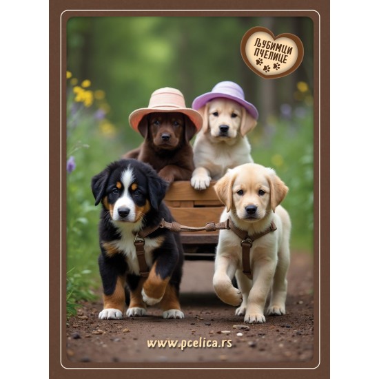 Sveska - Ljubimci Pčelice: Arči, Dora, Alba i Bruno, braon boja Sveska - Ljubimci Pčelice: Arči, Dora, Alba i Bruno, braon boja