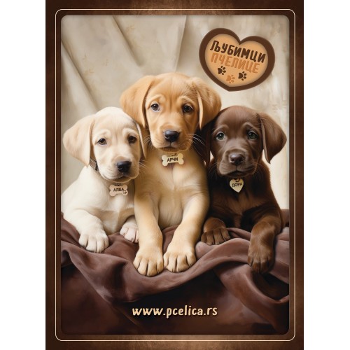 Sveska - Ljubimci Pčelice: Arči, Dora i Alba, braon boja