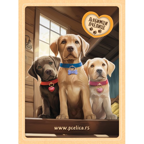 Sveska - Ljubimci Pčelice: Arči, Dora i Alba, bež boja