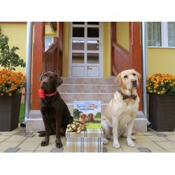 Promocija knjige Arči i Dora postaju prijatelji