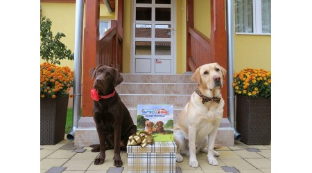 Promocija knjige Arči i Dora postaju prijatelji